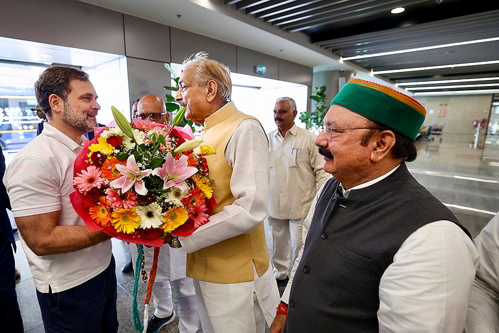 | Photo: PTI : Rahul Gandhi in Rae Bareli