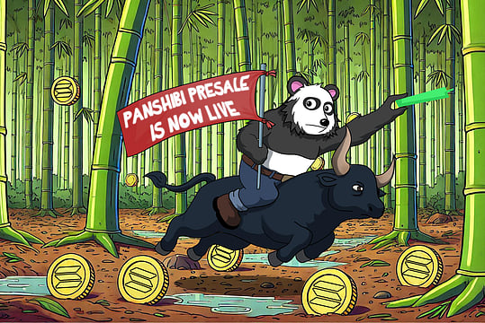 Panshibi (SHIBI) Attracts Major Shiba Inu (SHIB) Investors In Early Presale – Time Is Running Out to Buy In!