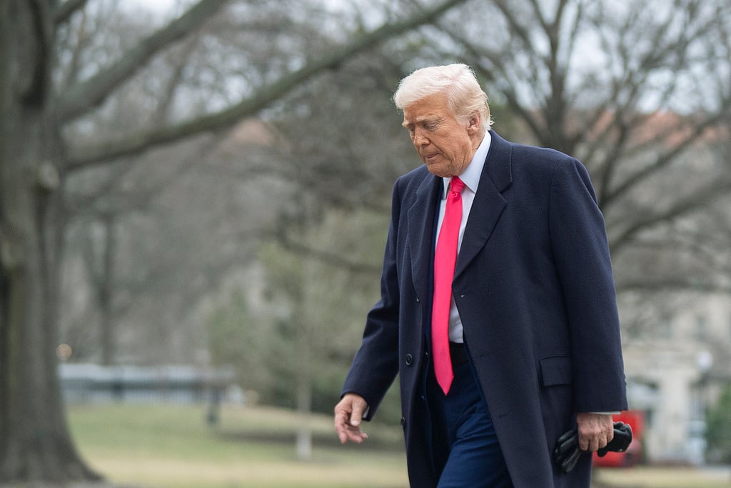 Manuel Balce Ceneta : Donald Trump 