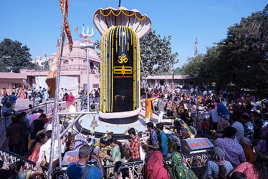 Nationwide Devotion: Indians Celebrate Maha Shivaratri With Fervor