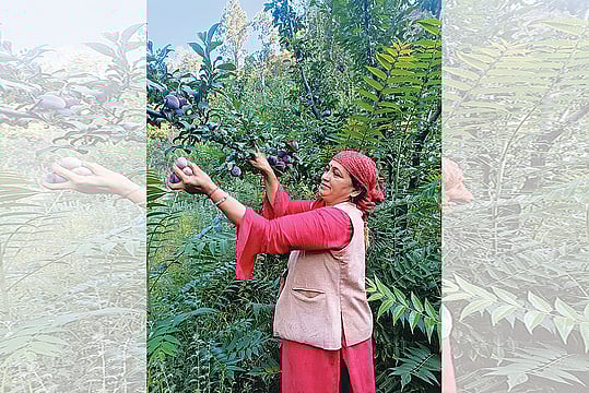 How Anita Negi’s Natural Farming Revolution Is Empowering Women 