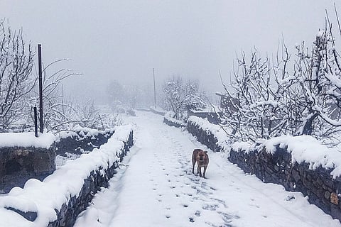 Snowfall in Kullu