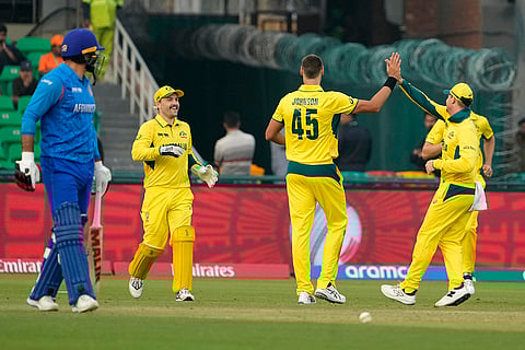 ICC Champions Trophy, AFG vs AUS: Australian players celebrate after the dismissal of Mohammad Nabi