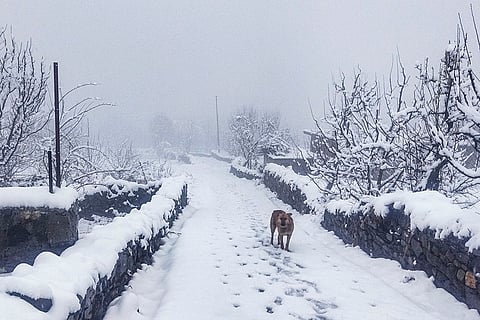 Weather: Fresh snowfall in Kullu