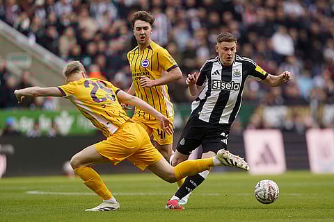 Newcastle United vs Brighton