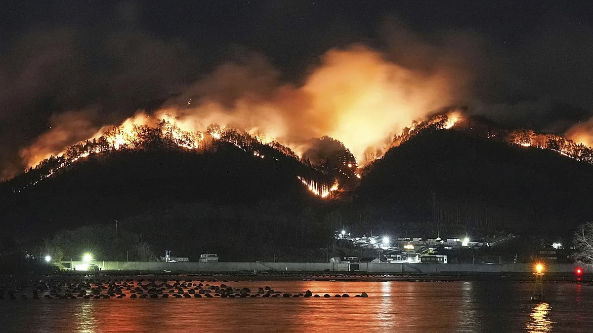 AP : A forest fire, which started last Wednesday in Japan, is still ravaging the residential areas