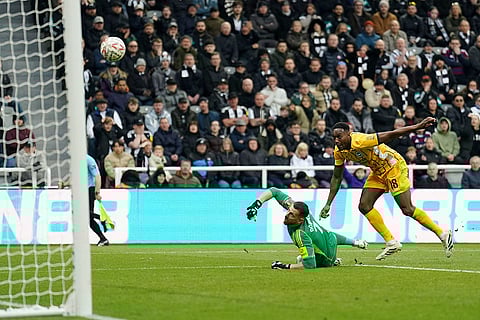 FA Cup: Brighton vs Newcastle United