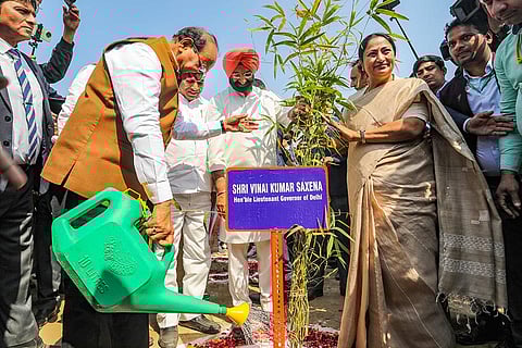 Bamboo plantation drive launch