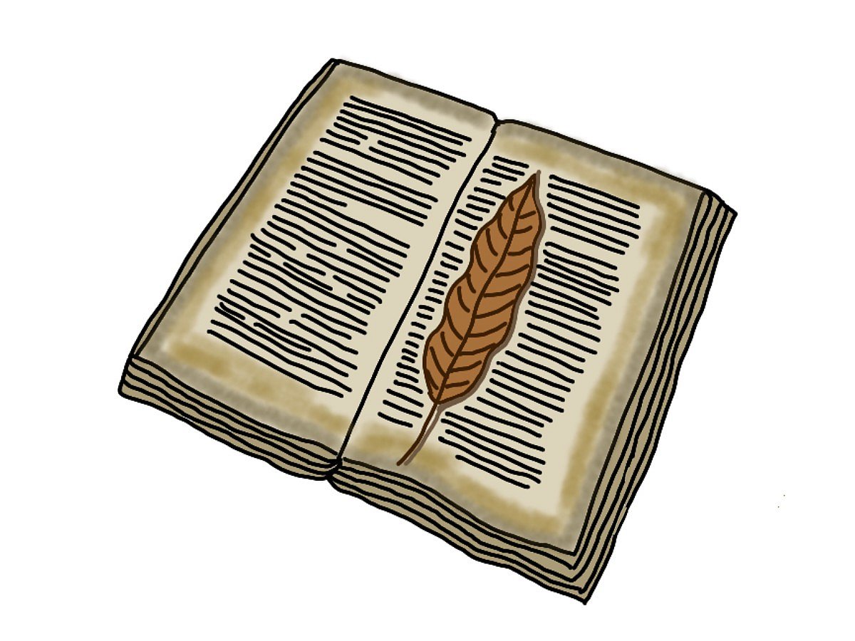 Illustration by Anupriya : Loss Of My Best Friend Through Memories |