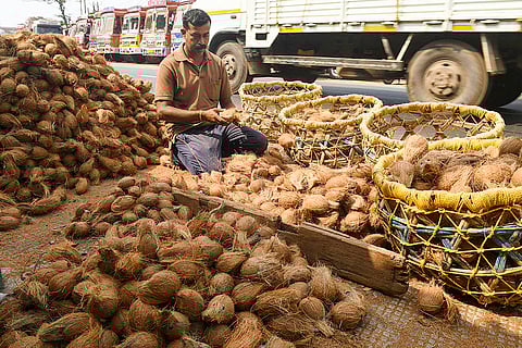 Coconut seller in Kerala's Kozhikode