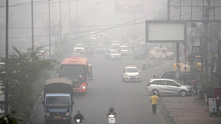 India's Pollution Crisis | - AP