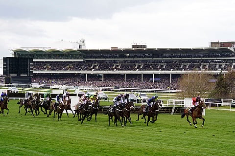 Cheltenham Festival, Day 1: Runners and riders in action
