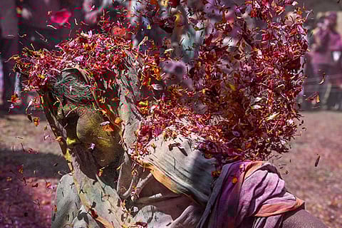 Widows celebrated Holi