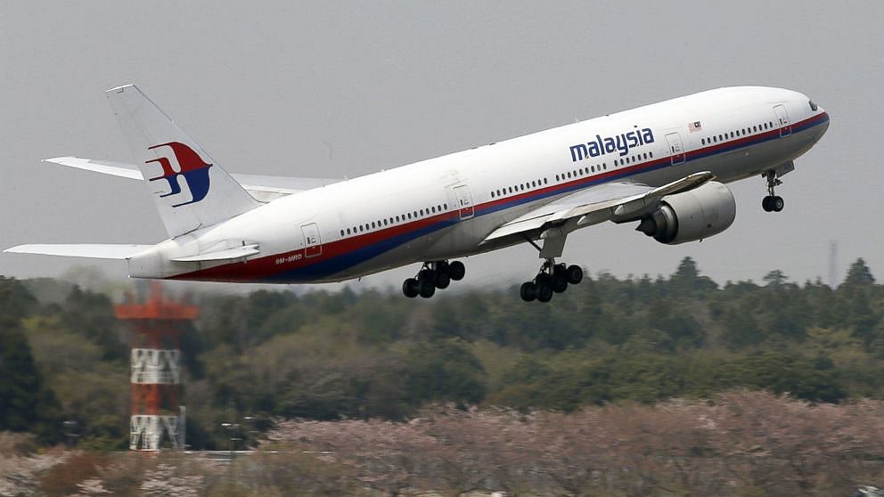 AP : Malaysia Airlines Flight (Representational Image)