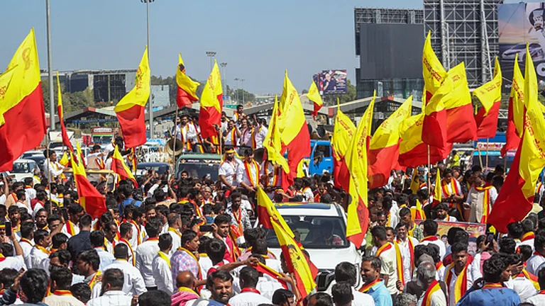 Pro-Kannada outfits  - PTI