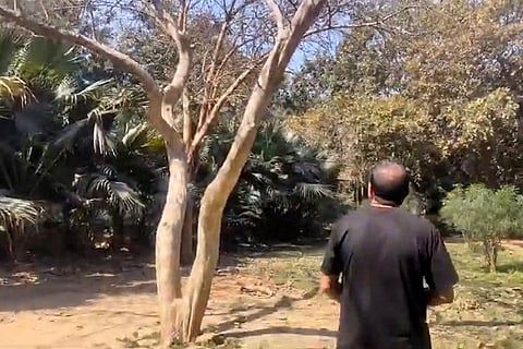 Boy, girl found hanging from tree in Delhi's Deer Park