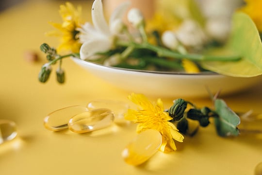 How Astragalus Supports Immune Function And Longevity