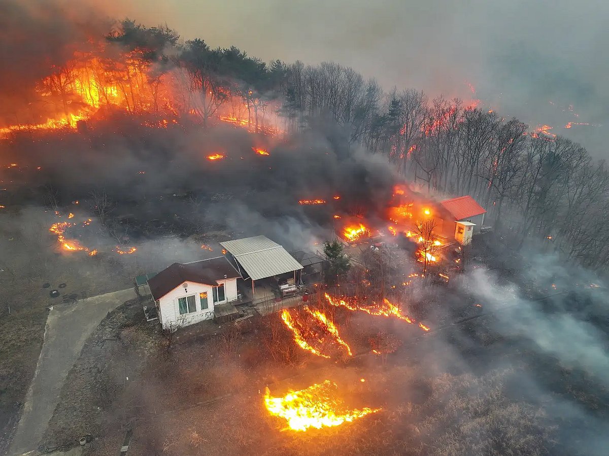 AP : Wildfires raging across South Korea