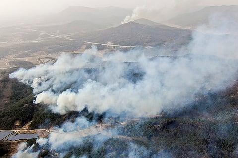 South Korea Wildfires