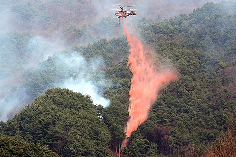 South Korea Wildfires