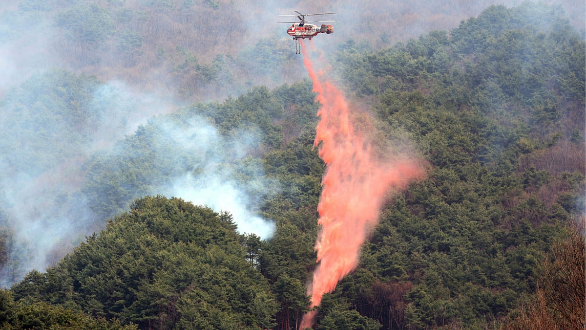 | Photo: AP : Wildfires In South Korea 'Worst' In Nation's History, 'Highest Serious Level’ Warning Issued 