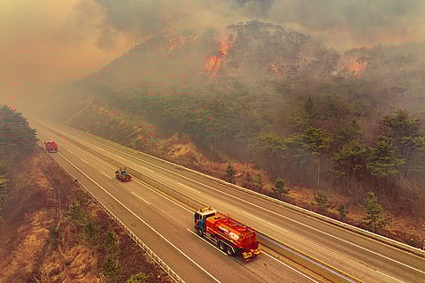 South Korea Wildfires