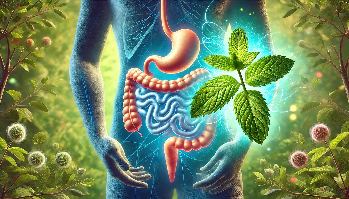 The Role Of Peppermint Oil In Managing Digestive Issues