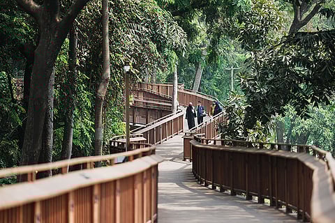 Mumbai's first nature walk opened for public