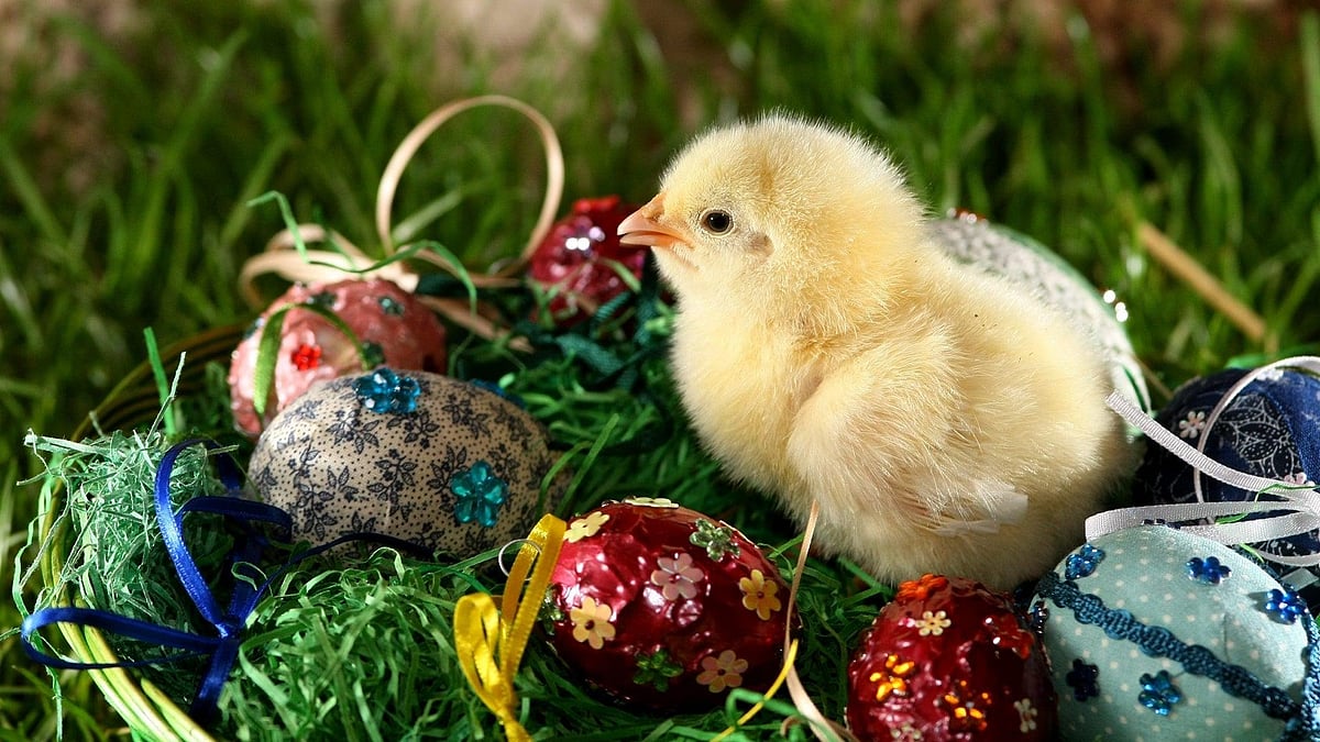 Easter Traditions Around The World: UK, Germany, USA, India