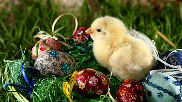 Easter Traditions Around The World 2026: UK, Germany, USA, And India