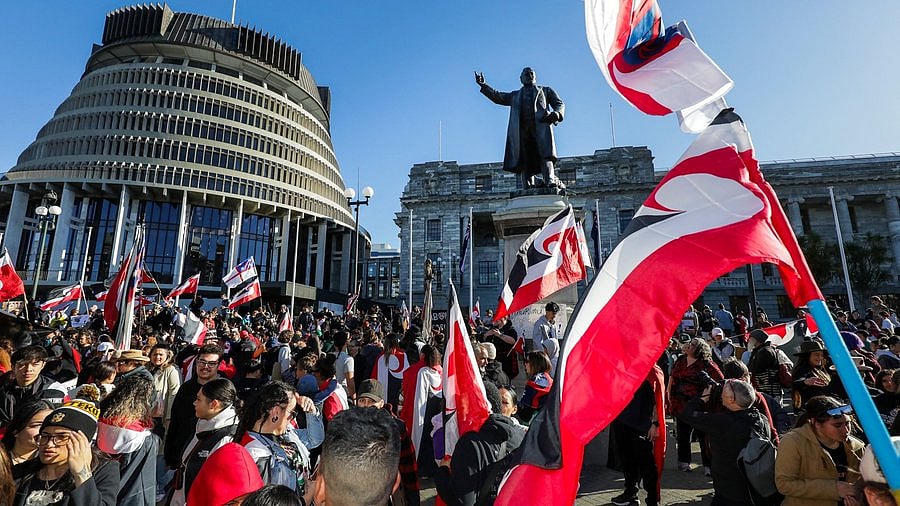 RTE : More than 35,000 demonstrators poured into the capital Wellington last year to protest against the bill