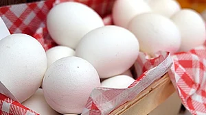 | Representational Image : US Egg Prices Increase To Record High, Despite President Donald Trump's Predictions And A Decline In Bird Flu