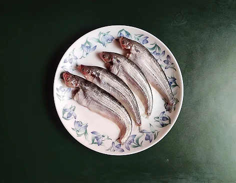 Fish