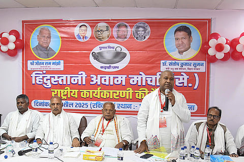 HAM-S National Executive