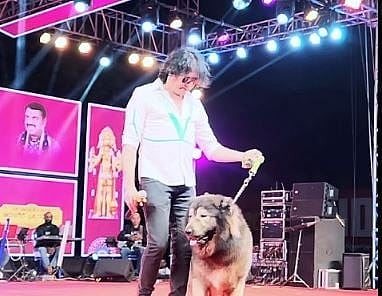 X/ @sudhakarudumula : Bengaluru man claims to buy a rare 'Wolfdog' worth Rs 50 crores