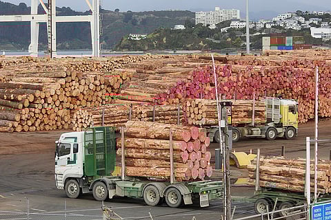 New Zealand Trump Tariffs