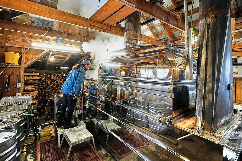 US President Donald Trump has imposed tariffs: Trump Tariffs Maple Syrup