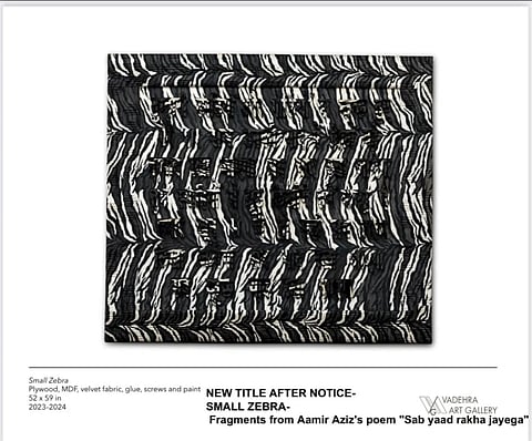 poet Aamir Aziz has accused contemporary artist Anita Dube of using verses from his poem Sab Yaad Rakha Jayega without credit or consent.