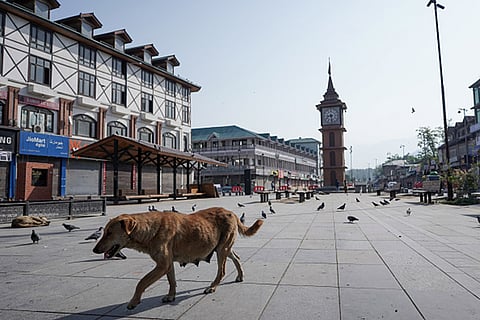 Deserted Kashmir after Pahalgam massacre