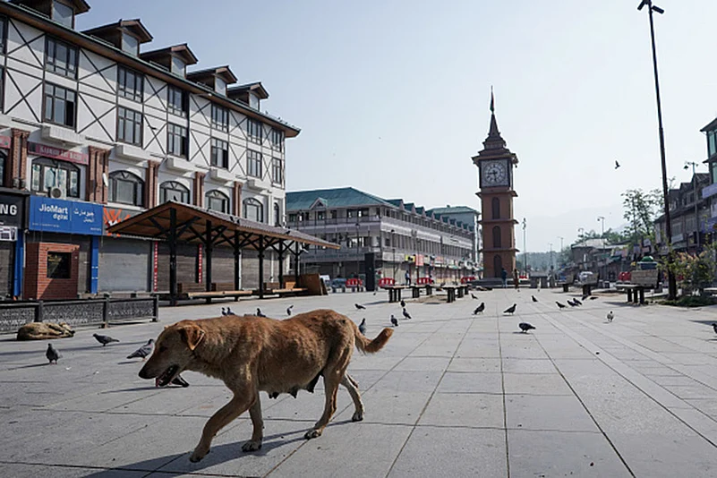 Deserted Kashmir after 2025 Pahalgam massacre_8