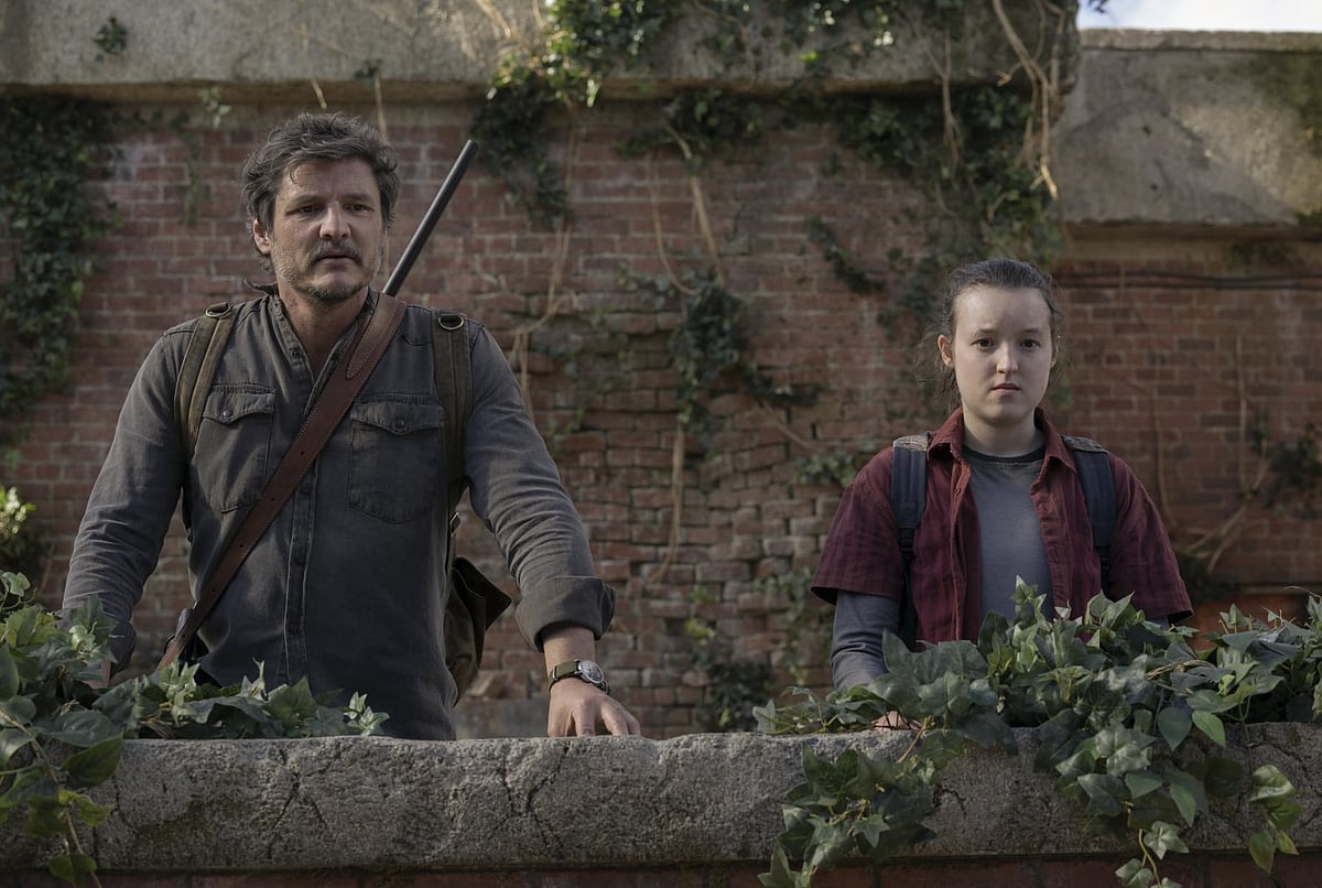 IMDB : The Last of Us Still