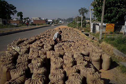 India Pakistan Border in Ranbir Singh Pora