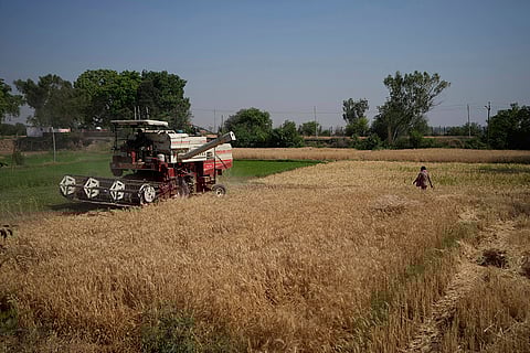 India Pakistan Border in Ranbir Singh Pora