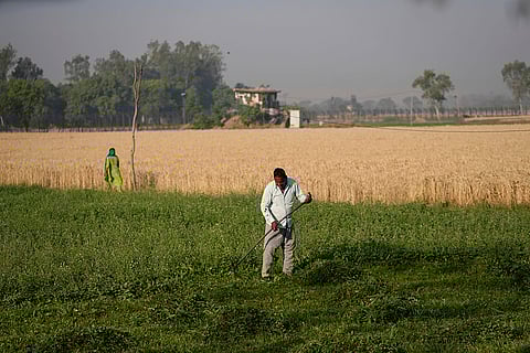India Pakistan Border in Ranbir Singh Pora