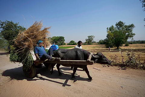 India Pakistan Border in Ranbir Singh Pora