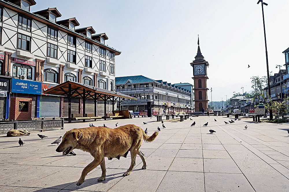 The Silence: The market at Lal Chowk in Srinagar remained shut after the Pahalgam terror attack  - | Photo: Getty Images