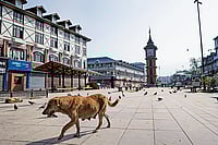 | Photo: Getty Images : The Silence: The market at Lal Chowk in Srinagar remained shut after the Pahalgam terror attack 