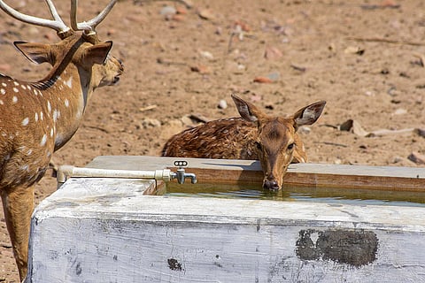 Weather: Hot summer day