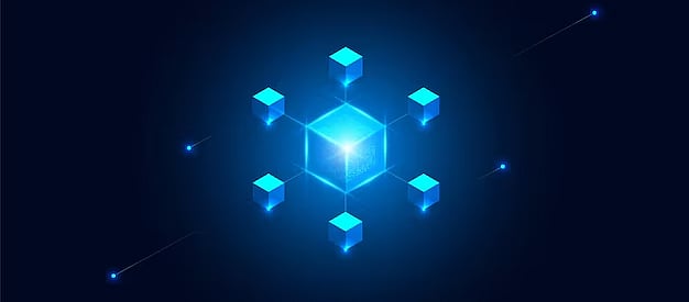 Blockchain For Social Welfare Distribution: Pilot Case Studies