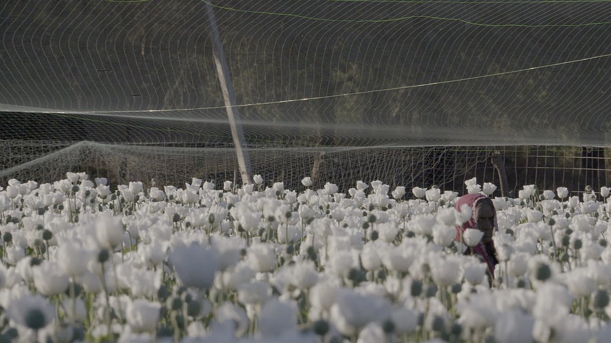 Vivek Chaudhary : Still